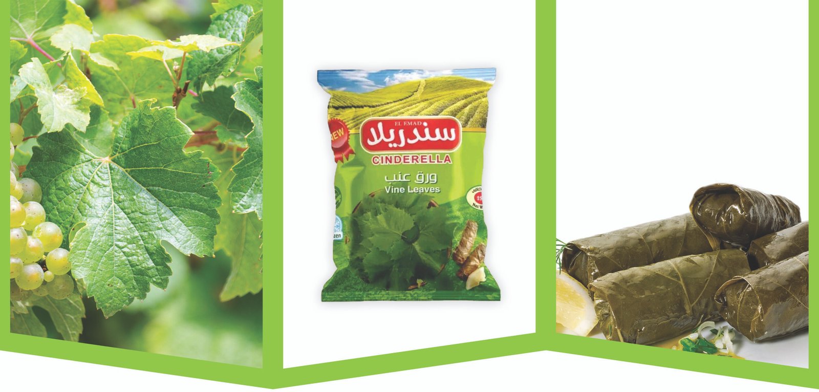 ورق العنب ورق العنب - الصورة 1